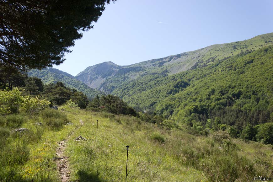 esparron-monges-064web.jpg - Le sentier. Au lointain de gauche à droite: Les monges et la Crête du Raus