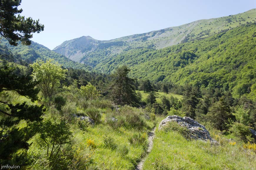 esparron-monges-066web.jpg - Le sentier (autre vue)