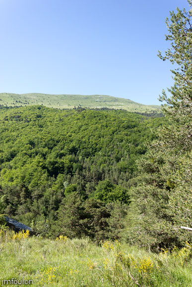 esparron-monges-067web.jpg - Vue sur Jouère et la forêt de hêtres de l'Hubac des Merles