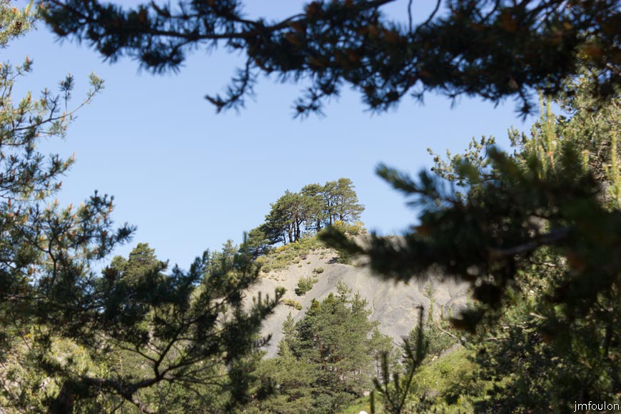 esparron-monges-070web.jpg - Colline marneuse surplombée d'arbres (vue à contresens de la marche)
