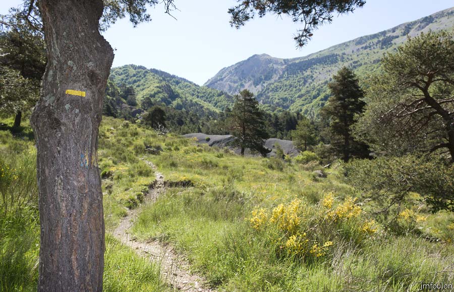 esparron-monges-073web.jpg - Le sentier -  Nous allons bientôt aborder la montée raide vers le Lac des Monges
