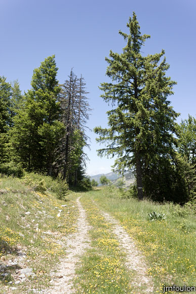 esparron-monges-092web.jpg - GR 6