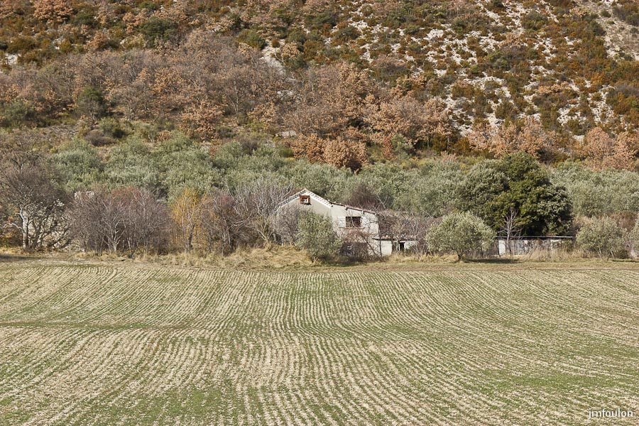 cabanon-02-2.jpg - Sisteron - Les Houlettes. Une petite maison devant les oliviers.