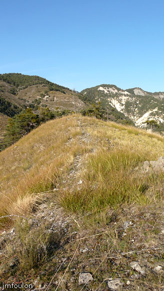 astoin-22web.jpg - Emplacement pésumé du castrum d'Astoin (castrum de Austeuno). Vue vers le Nord