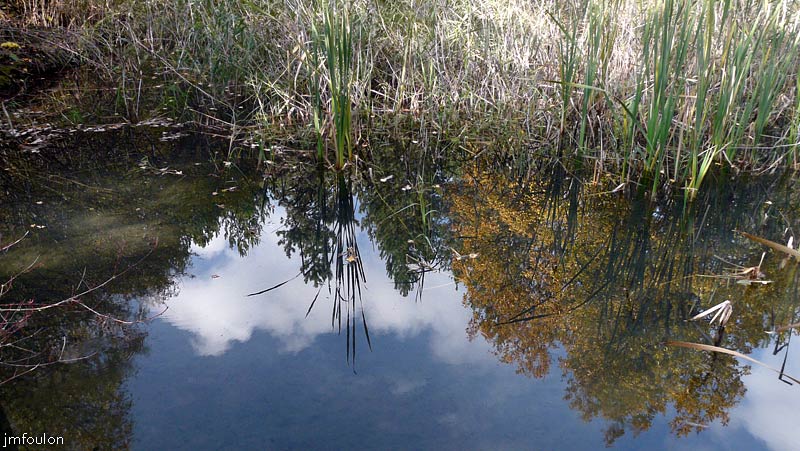 aqueduc-sagnieres-41web.jpg - Reflet dans l'eau. Le paradis des batraciens et des libellules !