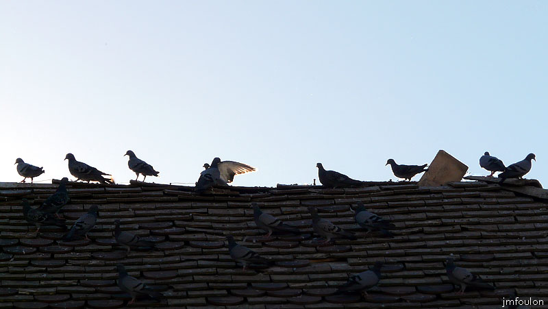 turriers-04web.jpg - Vieille toiture et pigeons sur la place du village