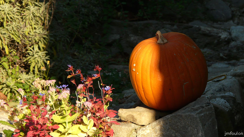 vaumeilh-55web.jpg - Citrouille dans le jardinet devant cette charmante petite maison
