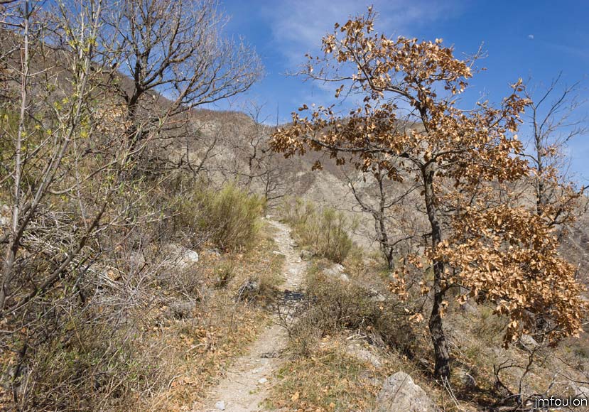 melve-croix-52.jpg - Le sentier (vue à contresens de la marche)