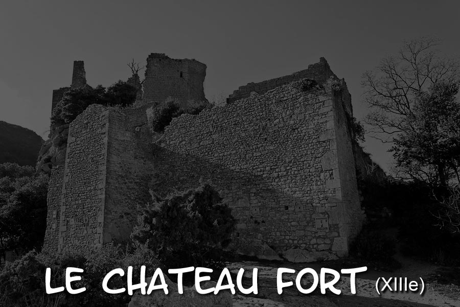 chateau-000-2.jpg - Le château-fort (XIIIe)