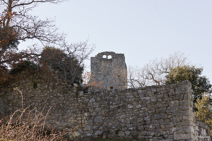 chateau-024-2.jpg - Autre vue sur le château-Fort (Est).