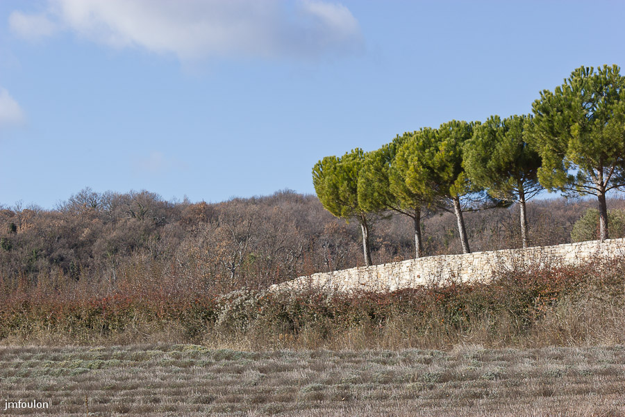 paysages-cereste-14-2.jpg - Paysage de Haute Provence côté Luberon en hiver
