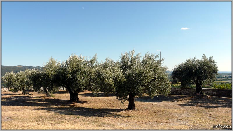 chateau-51web.jpg - Sur cette esplanade se trouvent des oliviers