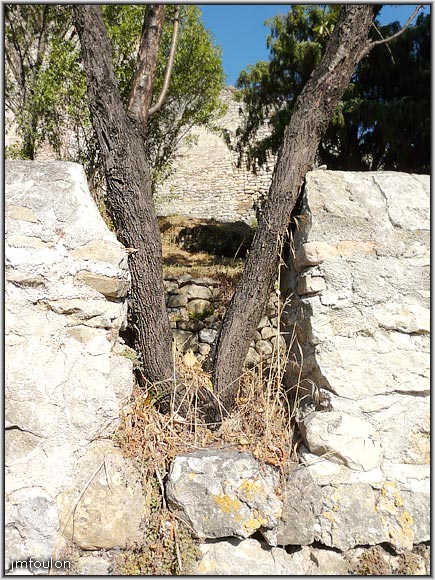 chateau-64web.jpg - Un amandier a élu domicile ici !