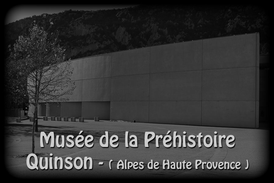 musee-000-2.jpg - Visite du Musée de la Préhistoire des Gorges du Verdon à Quinson (Alpes de Haute Provence)
