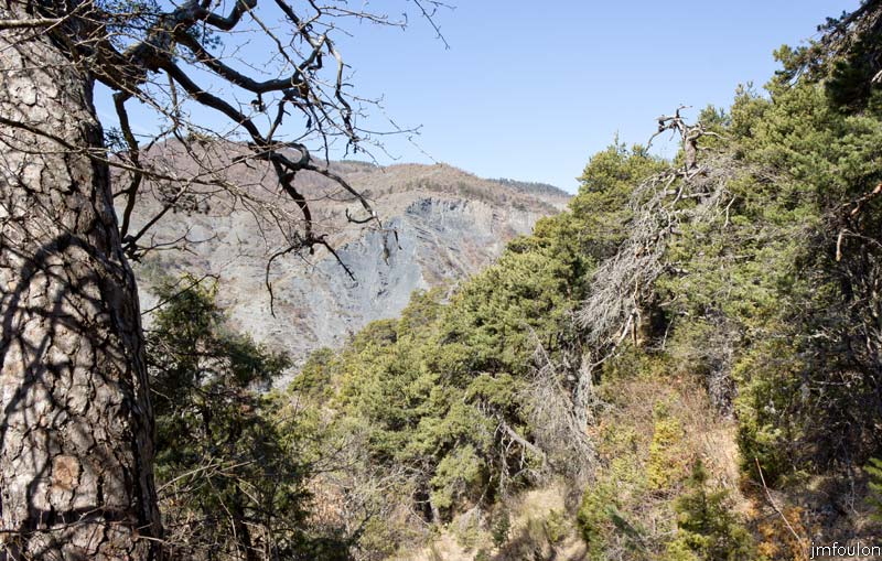 ravin-piche-35web.jpg - Adret du ravin de Piche