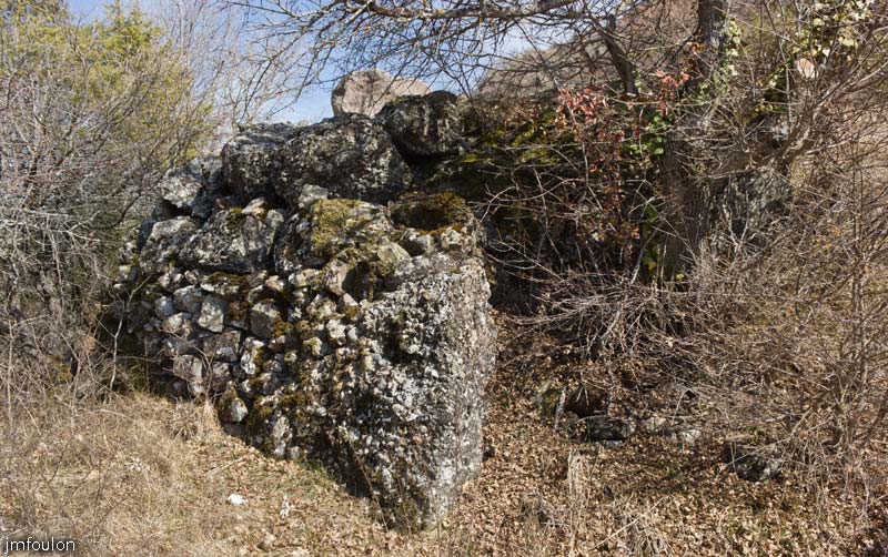 ravin-piche-47web.jpg - Vestiges de la maçonnerie de la plateforme qui portait la tour de guet sur la butte castrale (mur Ouest))