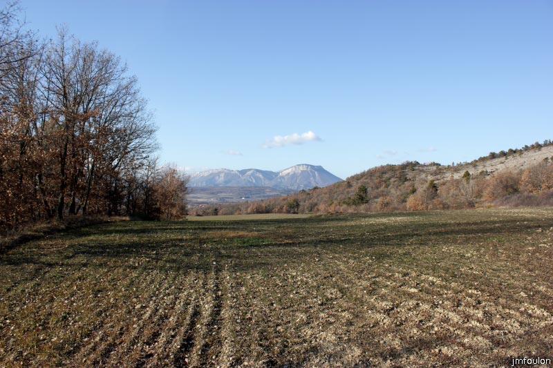 theze-tour-chenes_052.JPG - Vue vers le Nord 600 m plus loin au niveau de la Boudonne