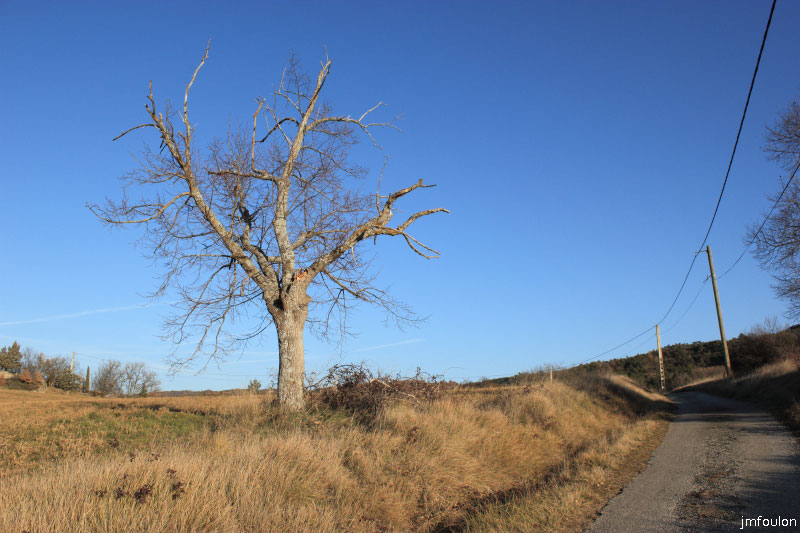 theze-tour-chenes_071.JPG - Nous voici revenu sur le bitume !