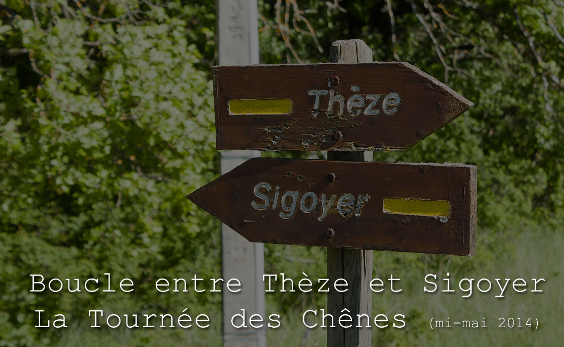 theze-tr-chenes-000-2.jpg - La Tournée des Chênes - Boucle d'environ 12 km entre Thèze et Sigoyer (au départ de Thèze)