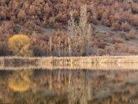 Lac de Mison (Alpes de Haute Provence)  Reflets dans le lac (rive Nord)
