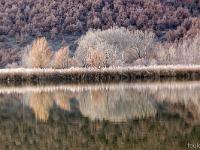 Lac de Mison (Alpes de Haute Provence)  Reflets dans le lac (rive Sud)