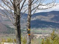 Lachau - Tour de la montagne du Riable  Balisage Jaune (PR) et jaune et rouge (GRP)