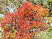 Sacrée Méouge 2025  Le décor ...