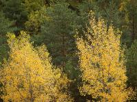 Sacrée Méouge 2025  Le décor ...