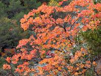 Sacrée Méouge 2025  Le décor ...