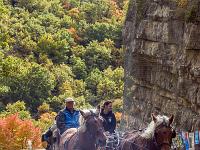 Sacrée Méouge 2025  La calèche ...