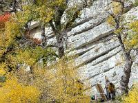 Sacrée Méouge 2025  Performance Peintres ...