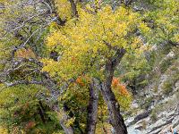 Sacrée Méouge 2025  Performance Peintres ...