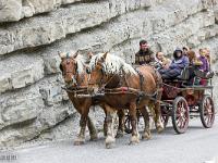 Sacrée Méouge 2025  La calèche ...