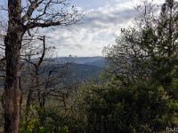 Paysages Ht Provence - Ht Alpes - Var - BDR  Vue sur les crêtes de Lure depuis celles du Molard