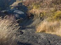 Sur le plateau de Salignac  Une succession de bosses et de creux plus ou moins érodées ou l'eau ruisselle par temps de pluie composent ce lieu si particulier. Ce qui lui à certainement donné ce nom de Coulets. Toute cette eau se jete dans le riou du Jabron qui termine son cours dans la Durance à environ 5 km à l'Ouest