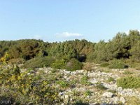 Port-de Bouc - Carro 03/2026  Carro - Plaine de Bonnieux en bord de mer