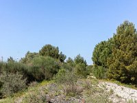 Port-de Bouc - Carro 03/2026  Port-de-Bouc - Le chemin s'arrête la ! ...