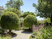 Salagon  Le jardin médiéval ...