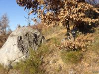 Entre Sisteron et le Col de Mézien  Elle semble se moquer cette roche avec son petit sourire de coin ! ...