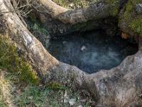 Sisteron - Collet Champ  Brancou  Une petite source d'eau pour les bêtes et les oiseaux. Ici, elle est gelée