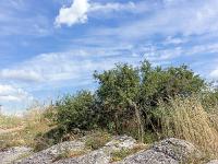 Collet - Champ Brancou - Paysages  Roche érodée ...