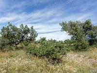 Collet - Champ Brancou - Paysages  Paysage typique à l'Ouest du Collet ...