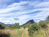 Collet - Champ Brancou - Sentiers et sous-bois  Sentier au centre du plteau du Collet 1/3 ...