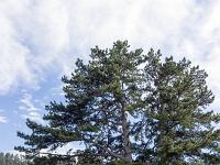 Collet - Champ Brancou - Paysages  Au Sud du Collet ...