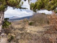 Sisteron - Le Collet mars 2026  A gauche au loin, la montagne de Hongrie (1189 m) ...