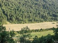 Sisteron - Collet Marquise  Vue sur le vallon de la Marquise depuis le Collet. Tout à l'heure, nous longions la forêt de l'ubac de Molard et le champs fauché en face