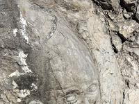 Sisteron - Route Napoléon  Sous cette plaque se trouve une sculpture, un visage, réalisée dans la roche par Robert Laffont, aujourd'hui décédé 1/2