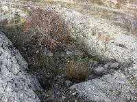Sommet de Dromon  Seuls vestiges de l'oppidium, une cavité creusée dans la roche