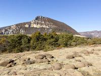 Serre d'Autruy - St André de Rosans  Vue sur la montagne de Risou depuis l'Ouest du plateau