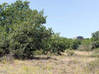 Tour de Porchères  La tour au loin dans les bois ...
